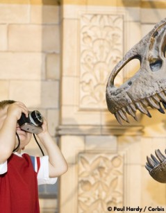 Une sortie en famille Une expo Un atelier Une sortie en famille Une expo Un atelier