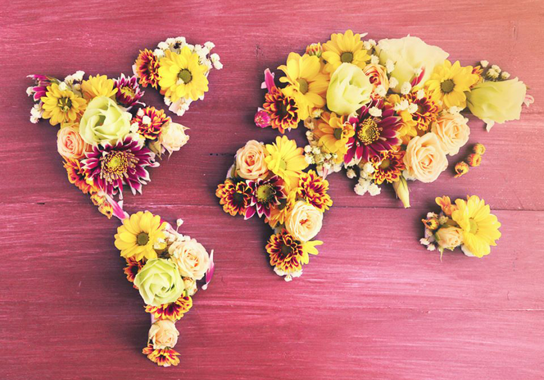 flowers of columbiaok.jpg