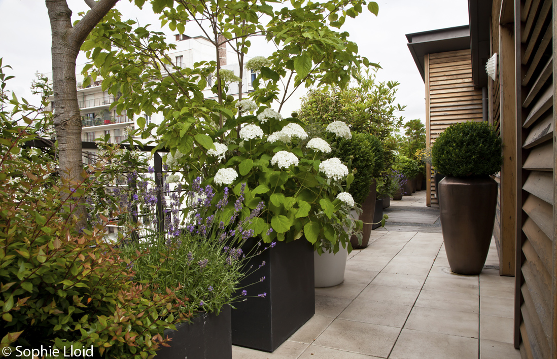 Jardin urbain : nos bonnes adresses parisiennes elle décoration