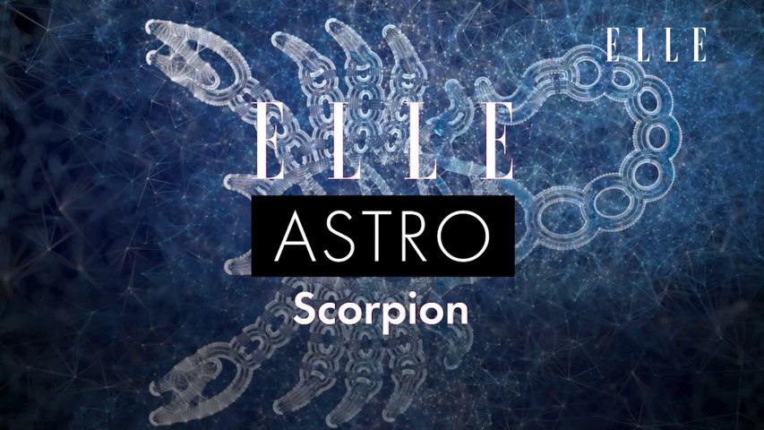 Sac Fourre-tout Horoscope Scorpion - Cadeau Original Signe Astrologique - Neuf Avec étiquettes