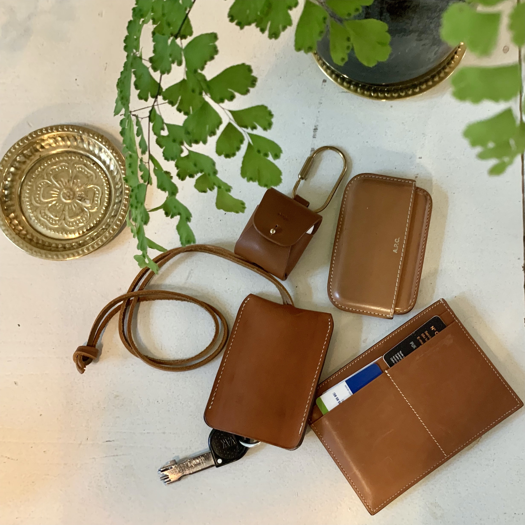 Voyage Color�