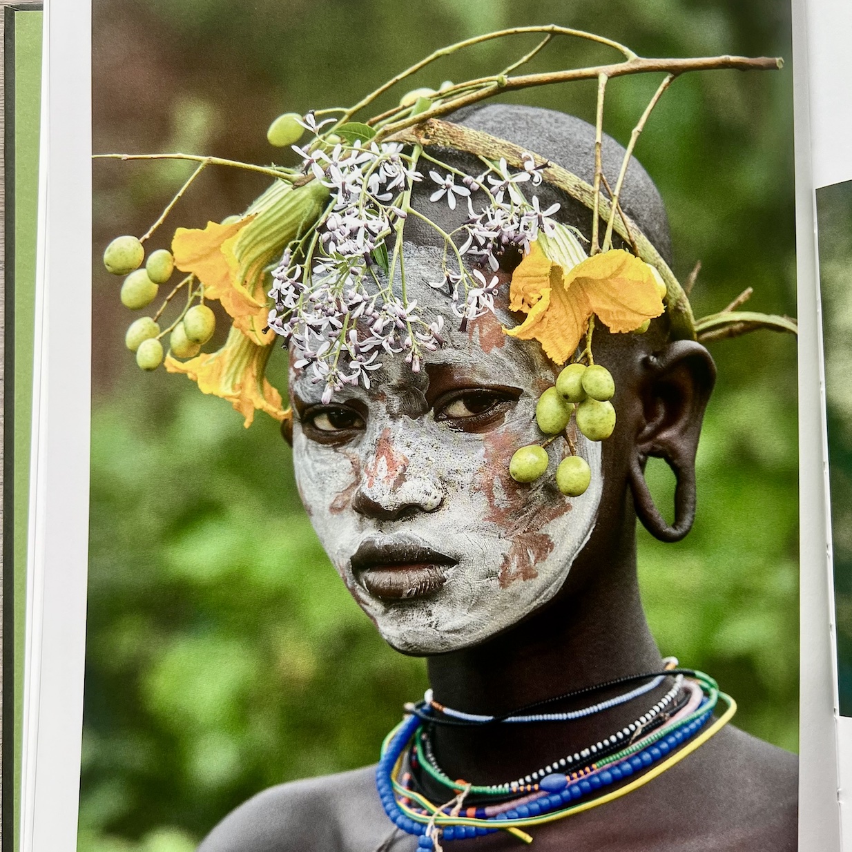 Voyage Color�