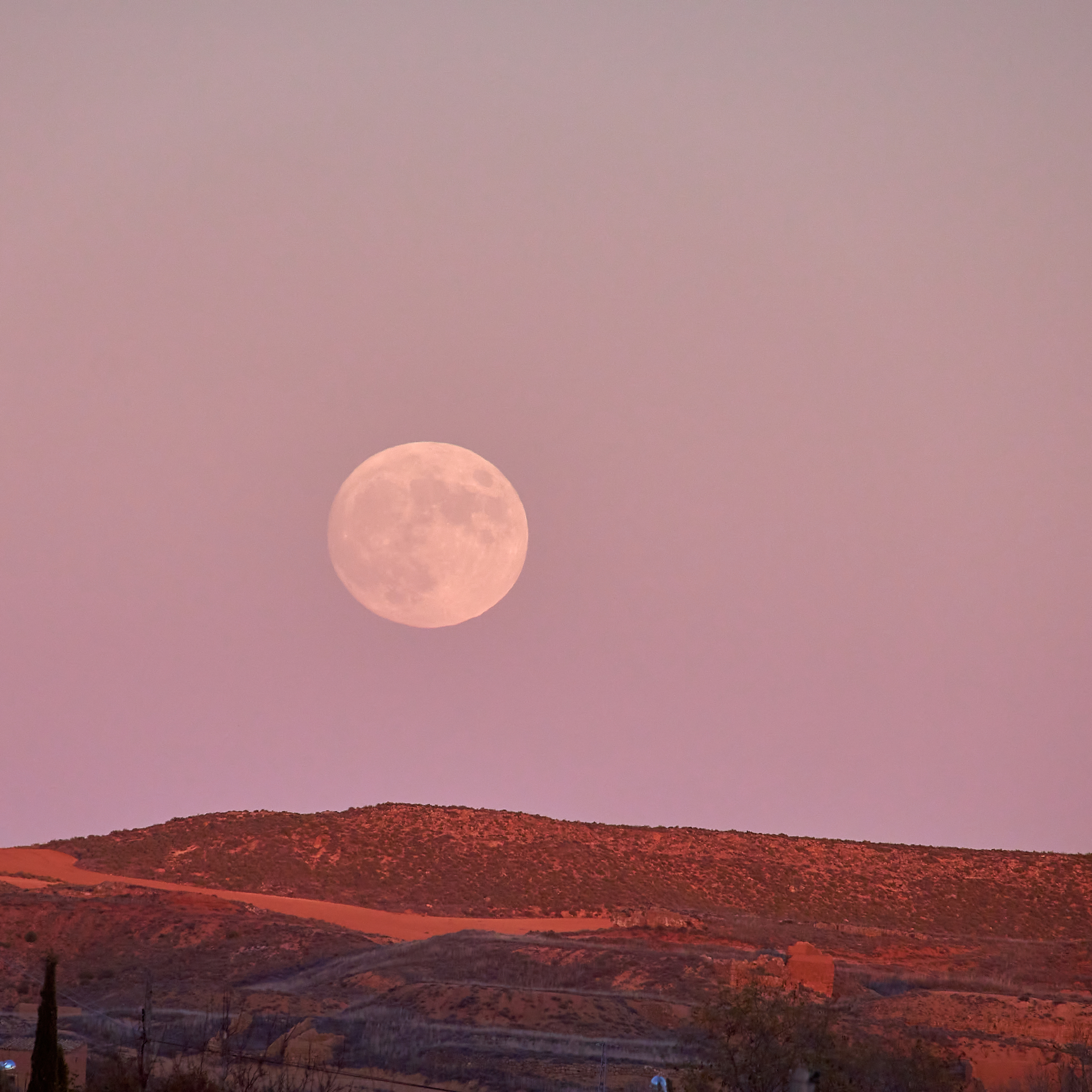 Couper Les Cheveux Avec La Lune Juillet 2022 Ce que nous dit la pleine lune en Capricorne du 13 juillet - Elle