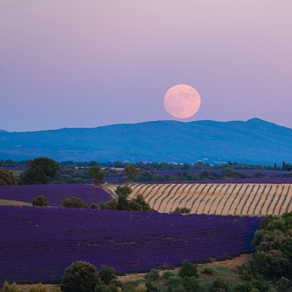 Pleine Lune 18 Mars 2022 Astrologie Ce que nous réserve la pleine lune en Vierge du 18 mars - Elle