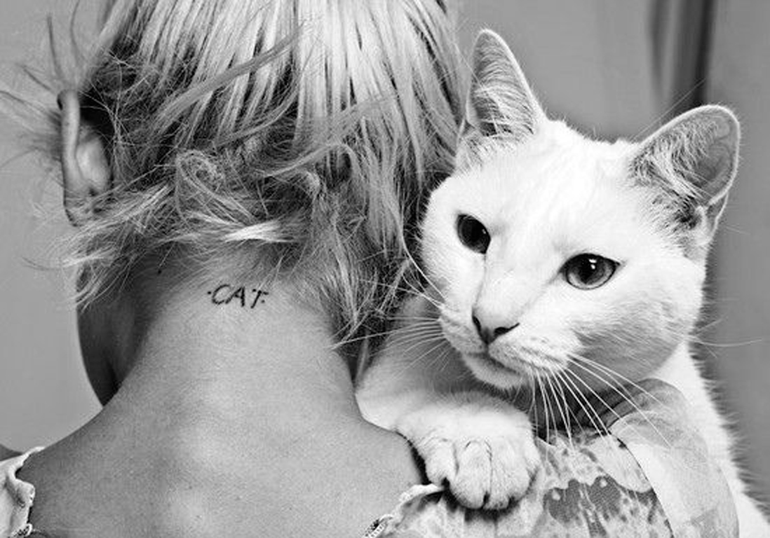 Tatouage Chat Nuque Tatouage Chat Les Plus Jolies Inspirations Pinterest Elle