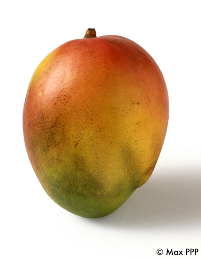 Vinaigrette mangue citronnelle - 10 recettes d'huiles et Vinaigrette mangue citronnelle - 10 recettes d'huiles et