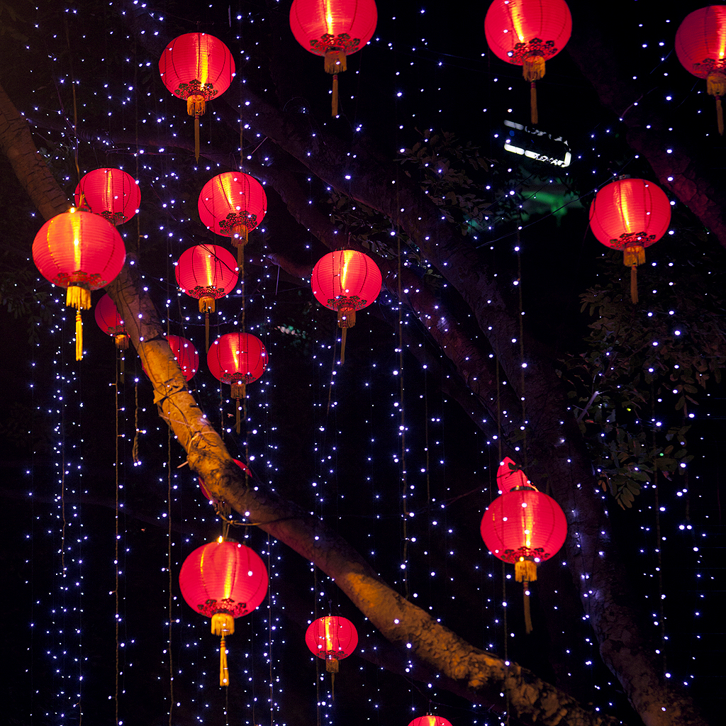 26 Recettes Pour Feter Le Nouvel An Chinois Elle A Table