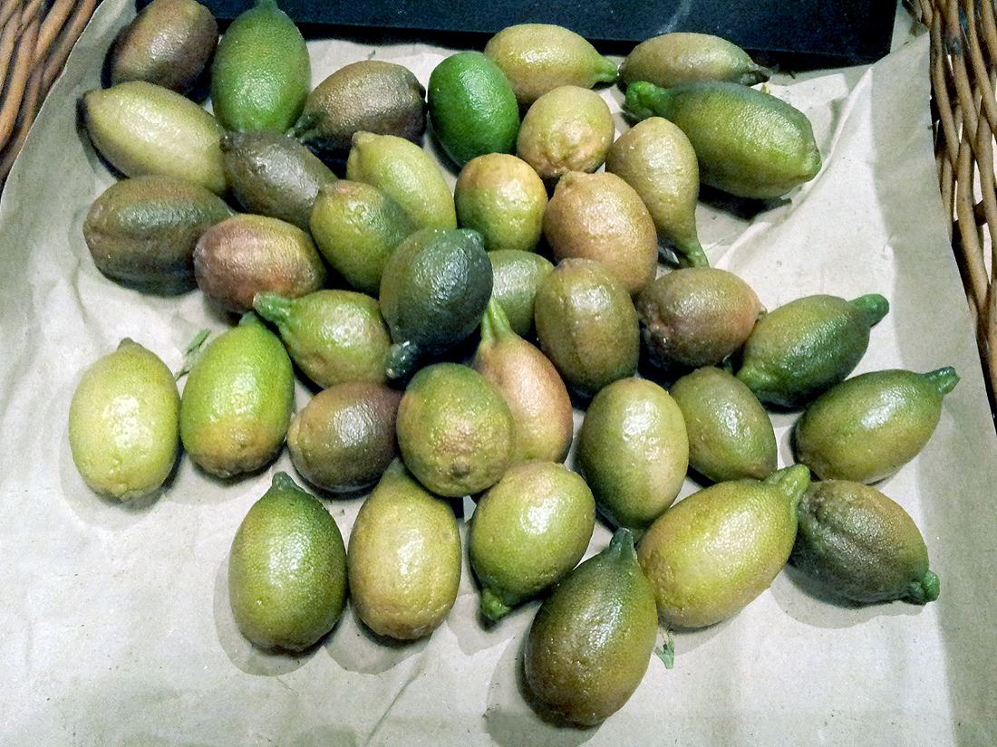 Des cornichons ? Le marché de saison pour les nulles Elle à Table