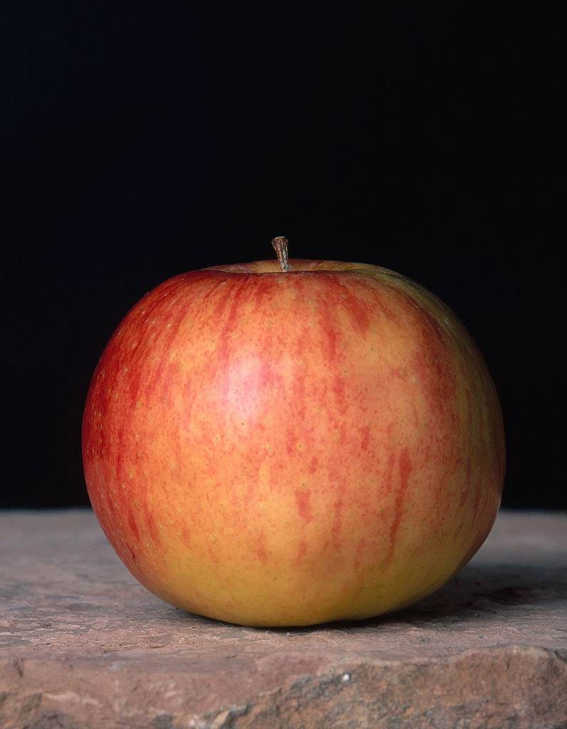 Jonagold Quelle pomme pour quelle recette ? Elle à Table