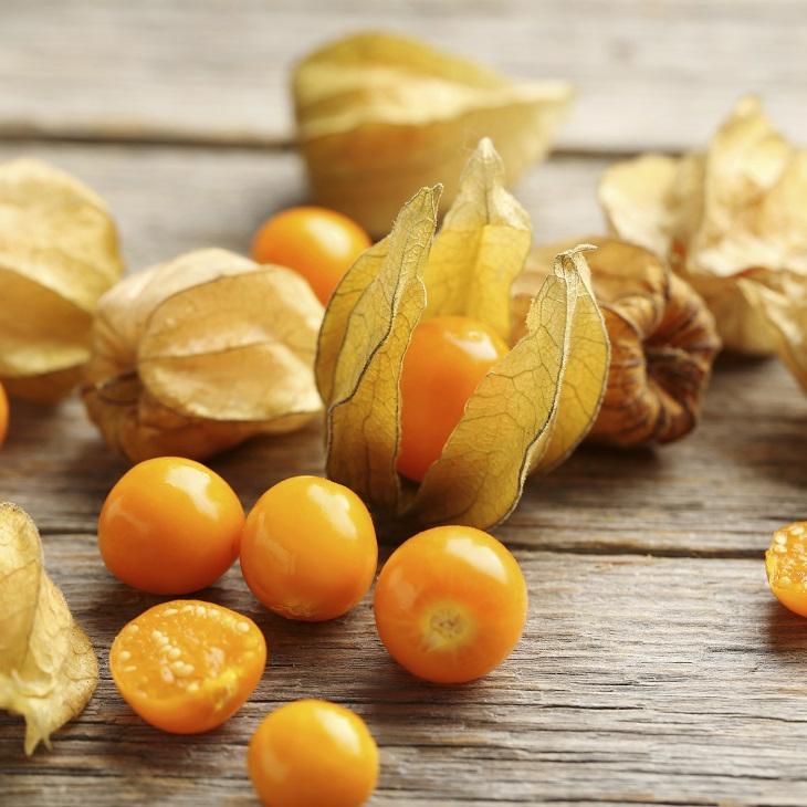 Tout Savoir Sur Le Physalis Elle A Table