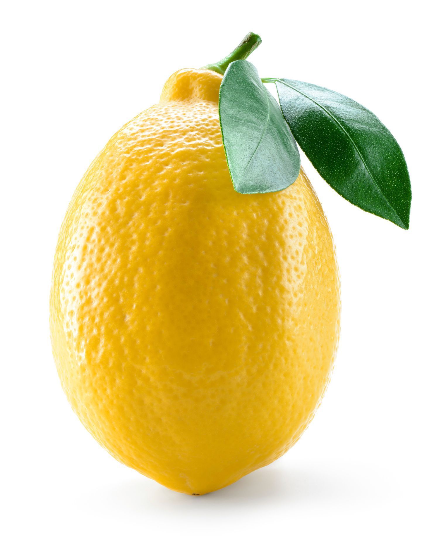 Le citron, la nouvelle star - Elle à Table