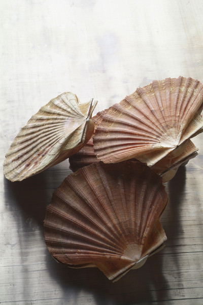 Coquilles Saint Jacques Aux Tomates Pour 2 Personnes Recettes