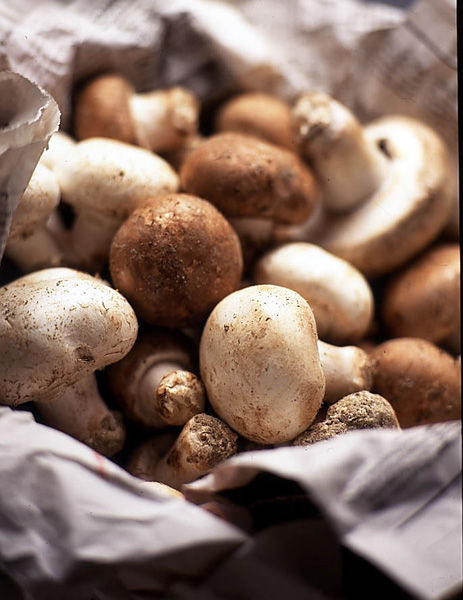 Rognon De Veau Aux Champignons Et Aux Deux Moutardes Recettes