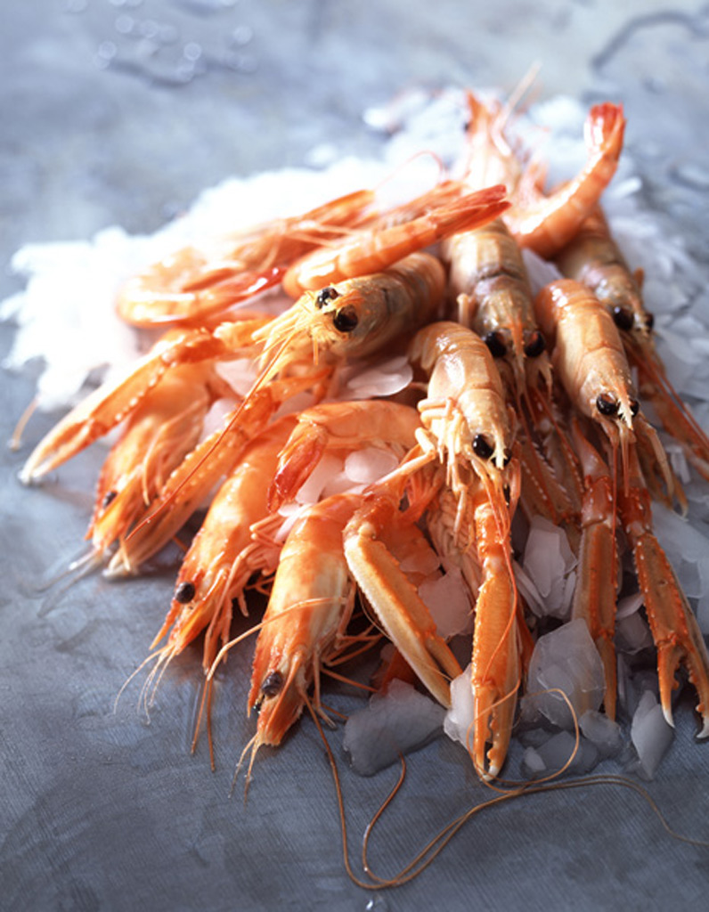 Cuisson Langoustines Comment Cuire Des Langoustines Elle A Table