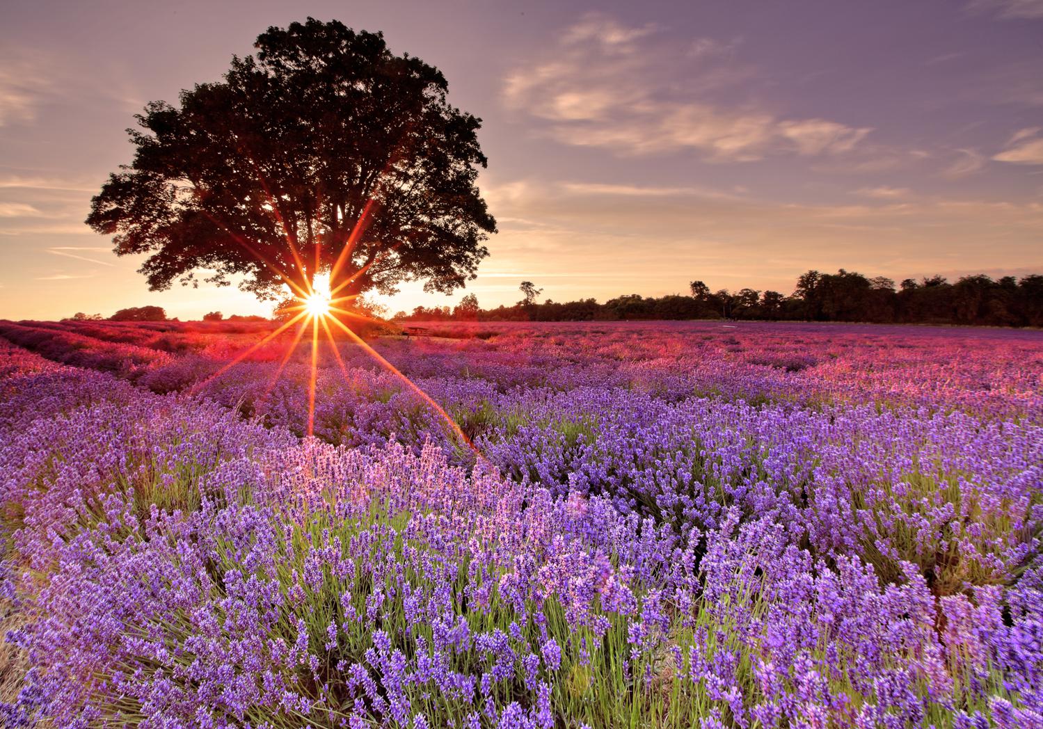 Coucher De Soleil Les Plus Beaux Coucher De Soleil Elle