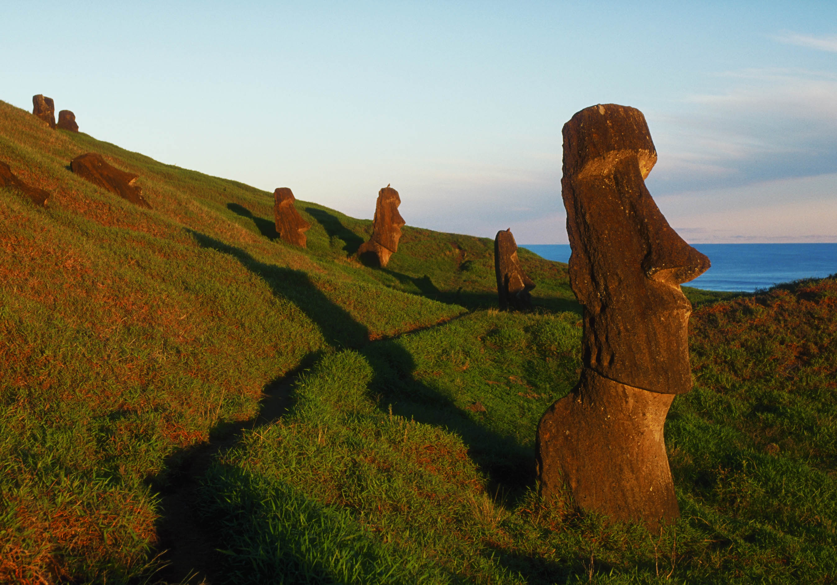 Les moais qui se dressent sur les flancs du volcan Rano Raraku. Ile de Pâques les 5 Les moais qui se dressent sur les flancs du volcan Rano Raraku. Ile de Pâques les 5