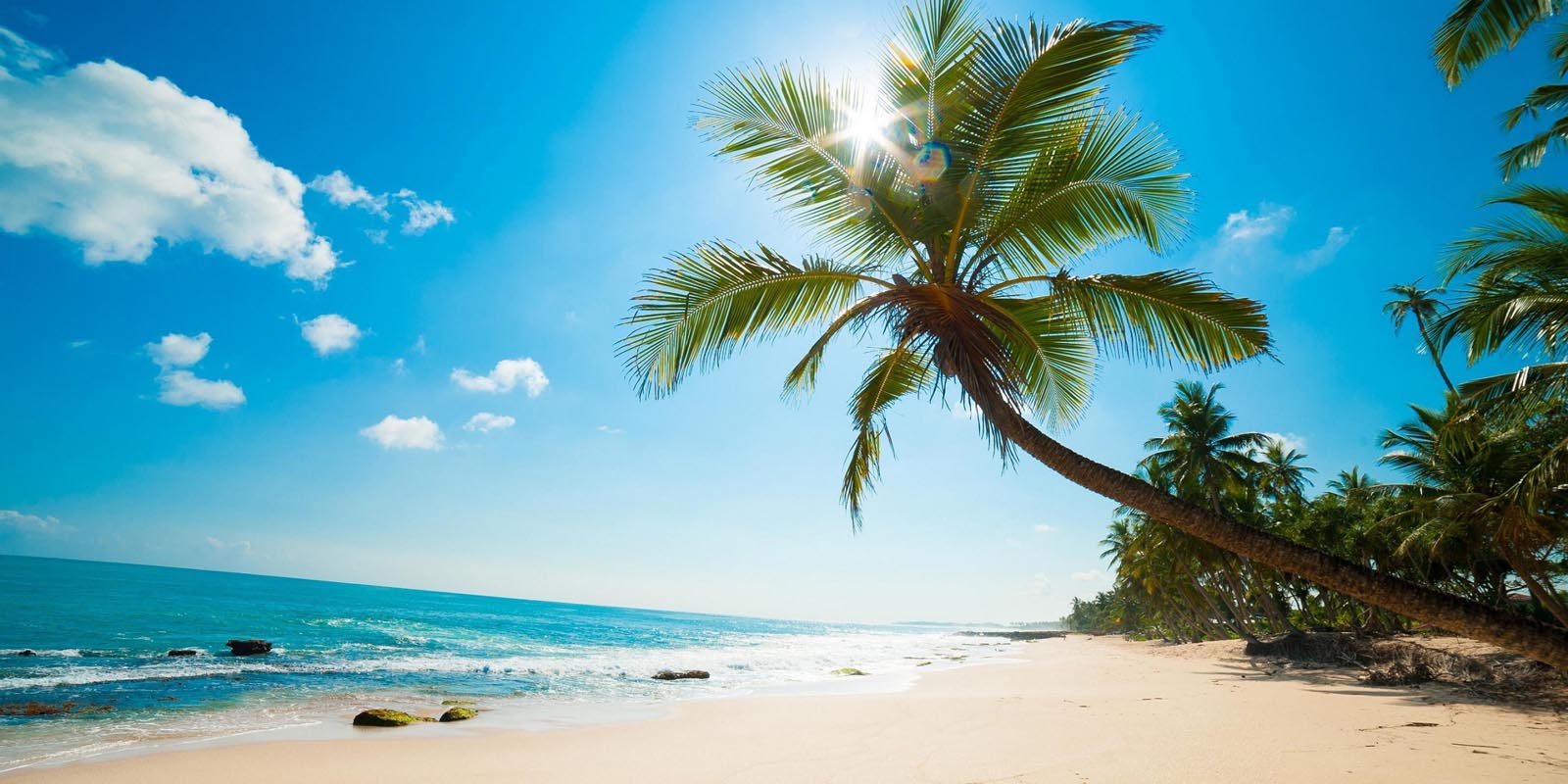 Plage De Sable Rose De Horseshoe Bay Aux Bermudes Toluna