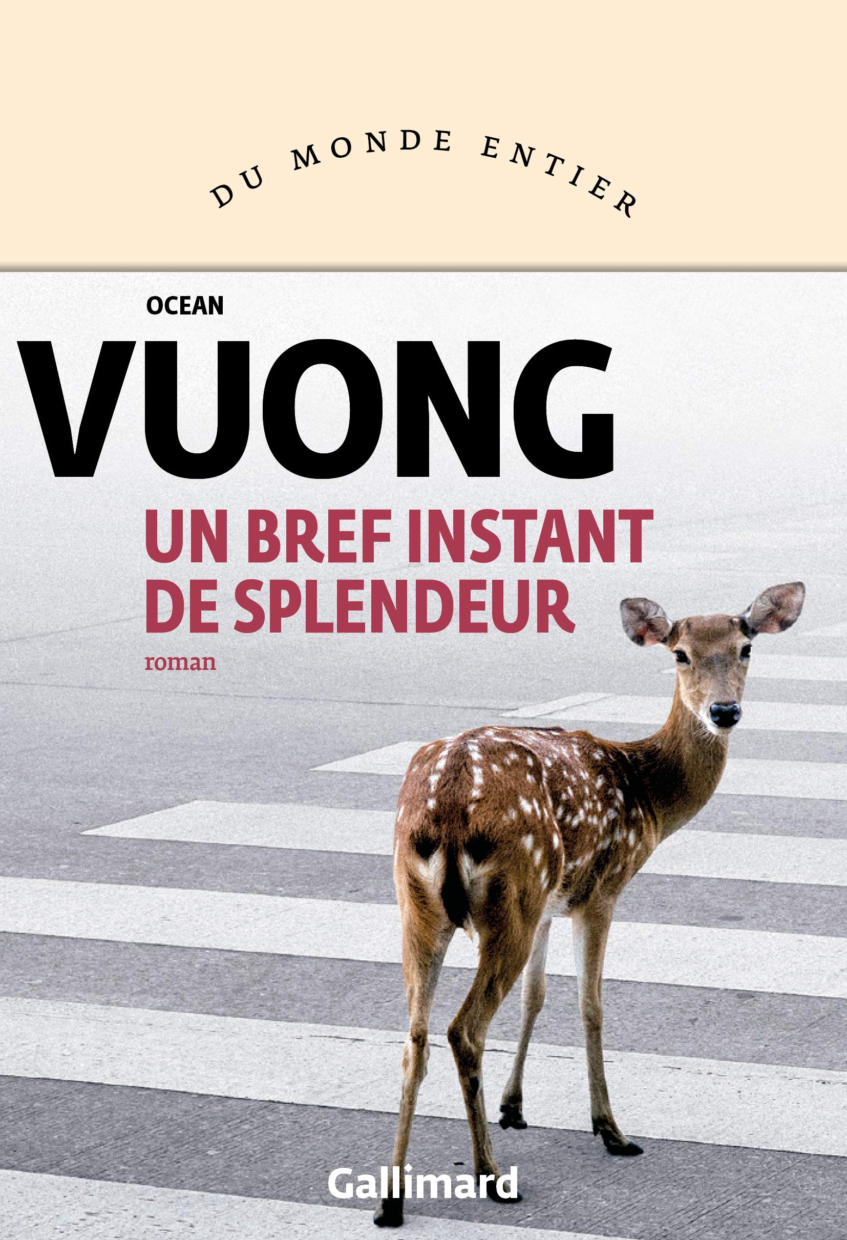 Ocean Vuong Un Bref Instant De Splendeur