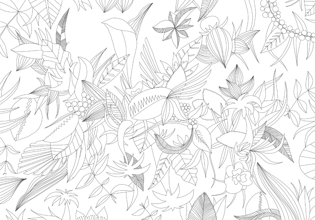 Moncoloriageelle La Planche Vegetale Elle