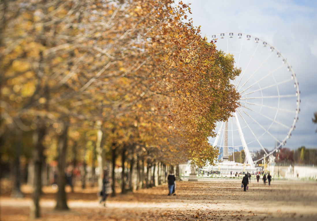 Que Faire A Paris Ce Week End Du 10 11 Et 12 Novembre Elle