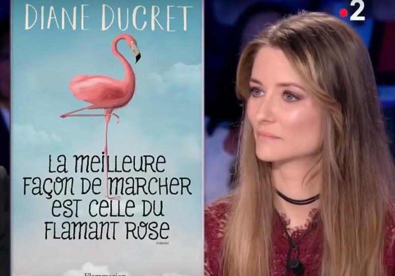 Elle S Enfile Tout Ce Qu Elle Trouve ONPC - Yann Moix s'emporte contre Diane Ducret : « S’il y a un truc que