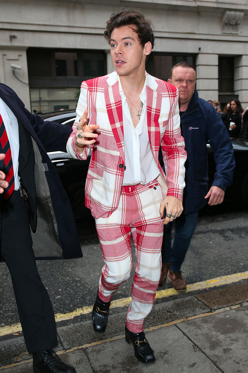harry styles in costumes